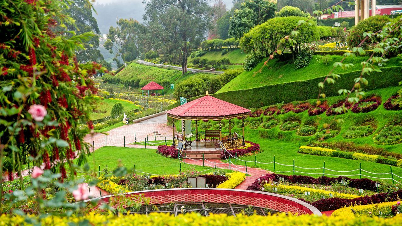 Ooty Toy Train: Tickets and Timings