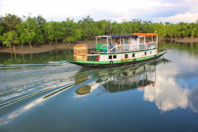 Sundarbans: The Mangrove Forest Boat Safari
